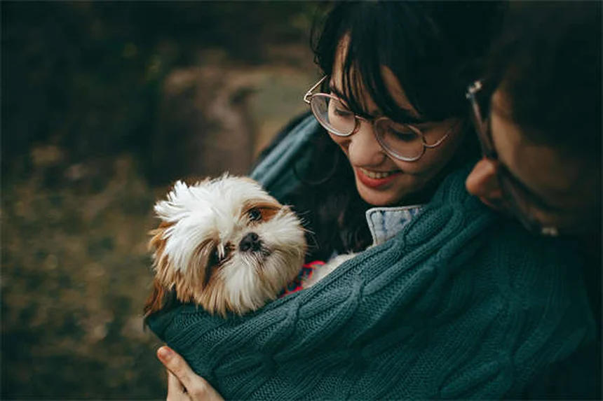 ¿Por qué mi perro me mira fijamente? 7 razones sorprendentes